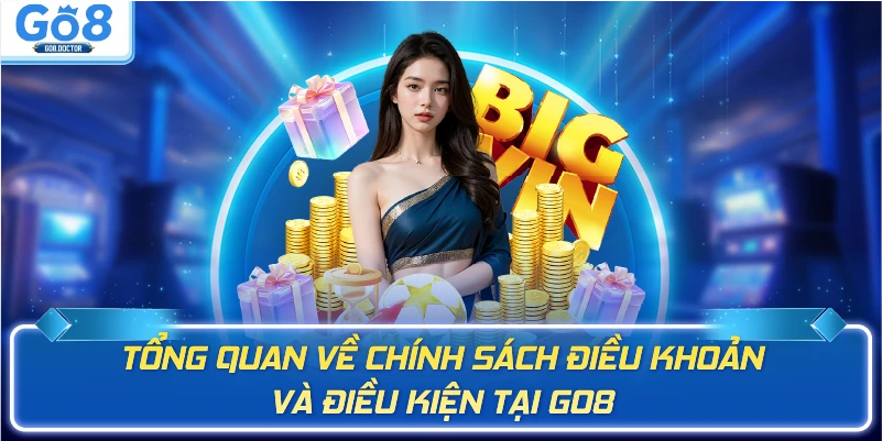 Tổng quan về chính sách điều khoản và điều kiện tại GO8